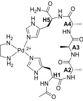 Figure 1.4 Dominant isomer of Ac-HAAAH-NH2 coordinated with Pd2+, through N1 