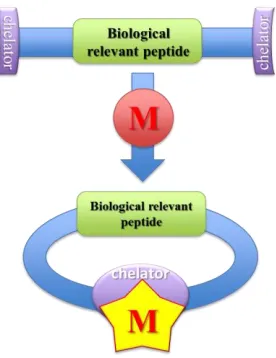 Figure 1.10 Project design rationale 