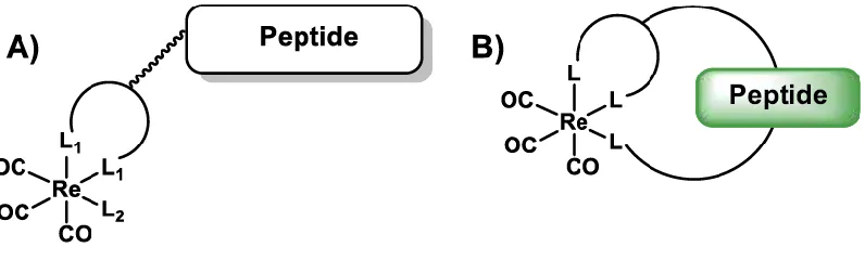 Figure 2.2 Model “2+1” chelation system 
