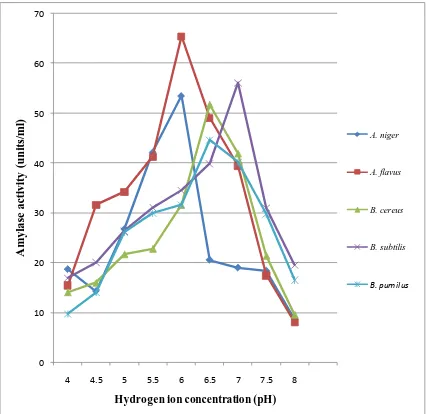 Figure 1. Effect of incubation period on amylase activity by Aspergillus niger, Aspergillus flavus, Bacillus cereus, Bacillus subtilis and Bacillus pumilus