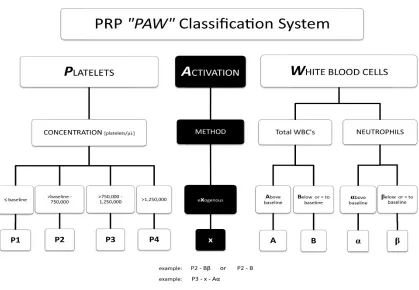 Figure 8 PRP "PAW" Classification System 