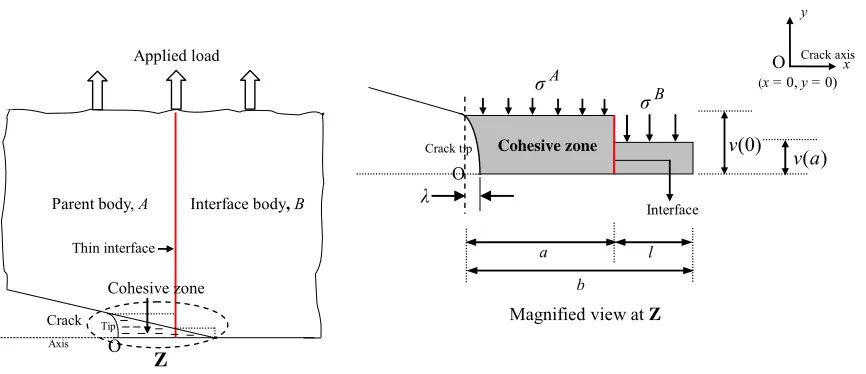 Figure 2. Cohesive zone across the bimerallic interface. 
