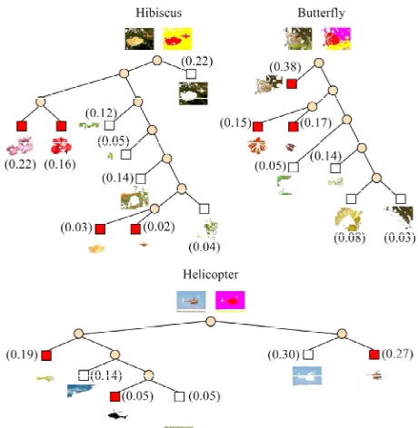 Figure 3. Examples of (a) images, (b) co-occurring segments and (c) labels for some categories