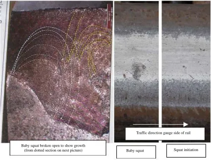 Figure 2. Early growth of running surface squat defects. 