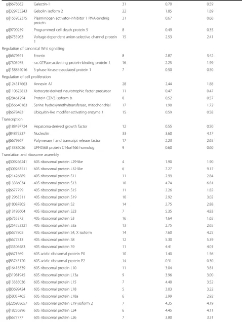 Table 1 Modulated proteins (p <0.05) in PG-3T3L1 cells classified according to their principal biological process (Continued)