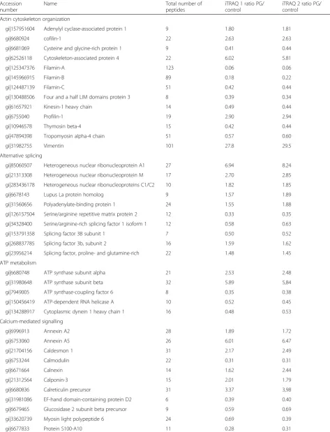 Table 1 Modulated proteins (p <0.05) in PG-3T3L1 cells classified according to their principal biological process