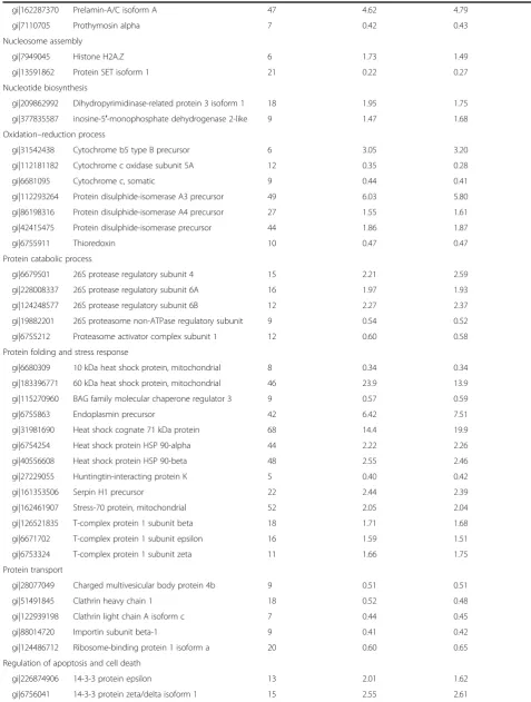Table 1 Modulated proteins (p <0.05) in PG-3T3L1 cells classified according to their principal biological process (Continued)
