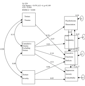 Figure 2. Path diagram for the effects of torture, torture severity and other life traumas on PTSD 