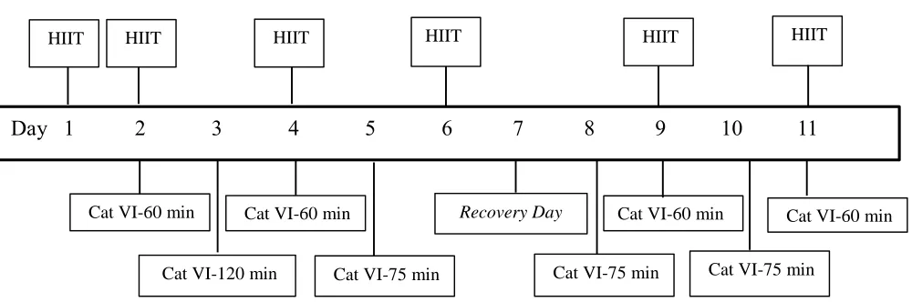 Figure 1. Study Design - HIIT Group Daily training activity during entire study for the HIIT group