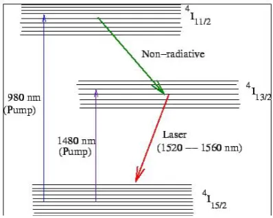 Figure 2: EDFA  