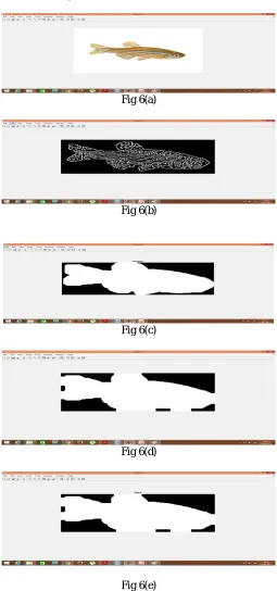 Fig 6(a)  