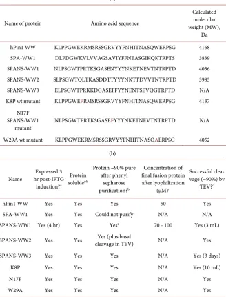 Table 1. (a) Names, sequences, and molecular weights of each WW protein expressed tion of each WW protein