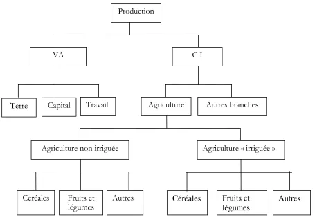 Figure 9. Présentation schématique du système productif agricole 