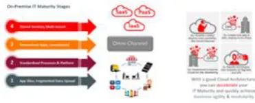 Figure 4. Rapid IT Maturity model  