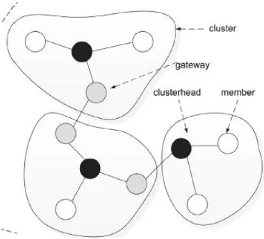 Fig. 3: Formed Final Cluster 