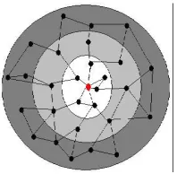 Fig 2: Application of fisheye in a network. 