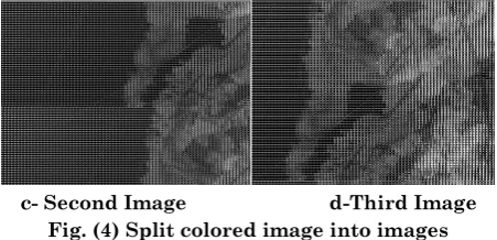 Fig. (3) Split colored image into three gray scale images 