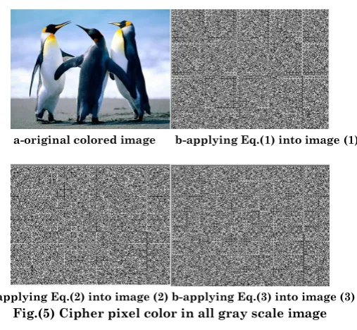 Fig.(5) Cipher pixel color in all gray scale image 