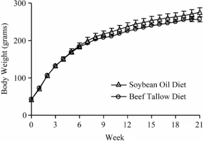 Figure 1. Body weights of rats fed diets beef tallow or soy-bean oil for 21 weeks. 