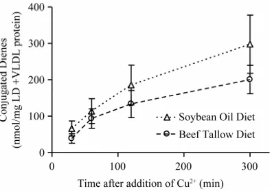 Figure 4. Oxidative resistance measured by conjugated di-ene concentration following the copper-induced oxidation of the VLDL + LDL fraction of plasma from rats fed diets containing 10% beef tallow or soybean oil diets