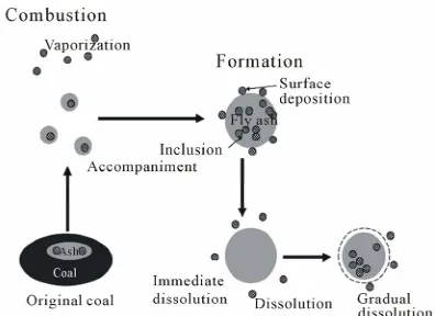 Figure 6for the dissolution of lanthanum as a typical example. 