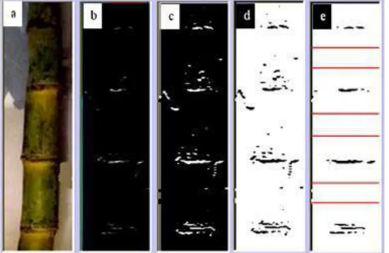 Fig. Block diagram for image processing for selection of sugarcane node 