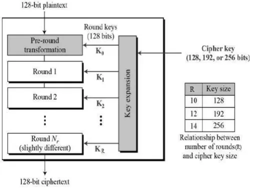 Fig 6. Process of AES algorithm 