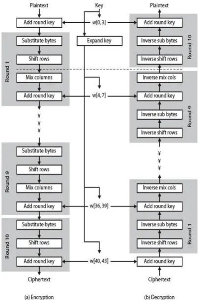 Fig 8. Process of AES algorithm 