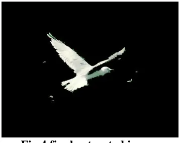 Fig.4.final extracted image 