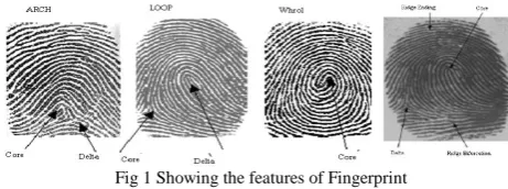Fig 1 Showing the features of Fingerprint   