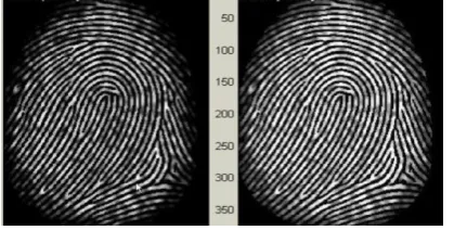 Fig 5 Showing the effect of  Histogram    Enhancement - Original Image (Left). Enhanced image (Right) e