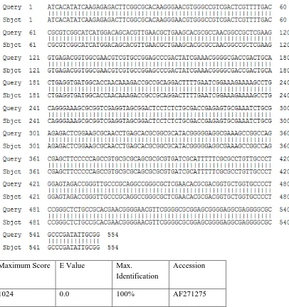 Figure 4.1: GenBank blast search for R. pulchellus haplotype.  Query represents haplotype while Sbjct represent R