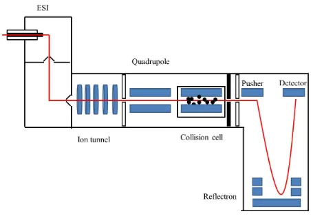 Figure 1-5: Schematic representation of an oaQ-TOF mass spectrometer equipped with a collision cell for collision-induced dissociation (CID)
