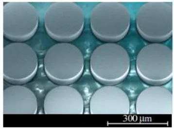 Fig. 2. Scanning electron micrograph of the fabricated silicon resonators. 