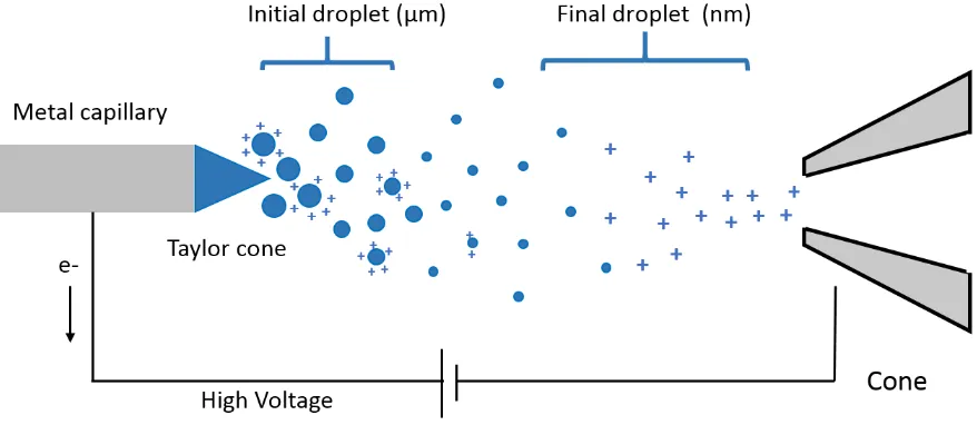 Figure 1-1 Schematic Depiction of an ESI Source 