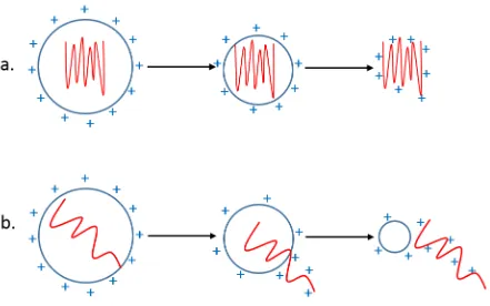 Figure 1-2 Mechanisms of Electrospray Ionization. 