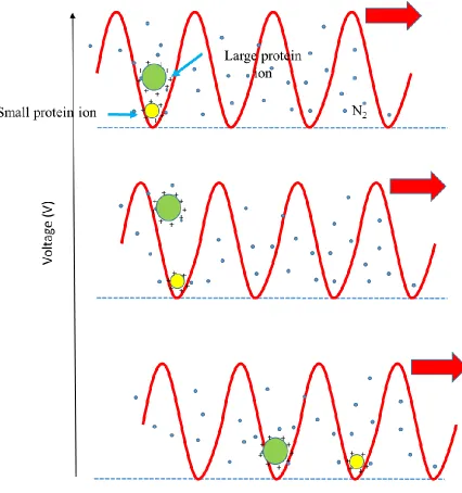Figure 1-9 Travelling Wave IMS Separator. 