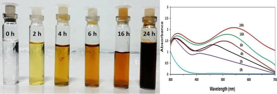 Fig. 1: The time evolution of the dispersion photographs and the UV-Visible spectra 