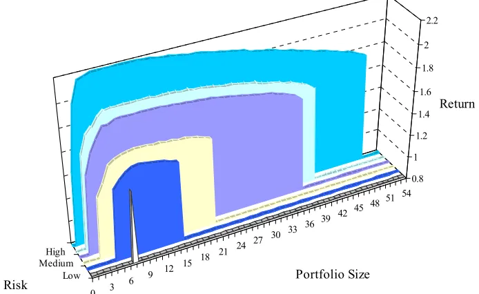 Figure 2. Feasible portfolio size regions, total risk, and optimal return. a(front) and 5 increasing risk level optimal portfolio feasible regions