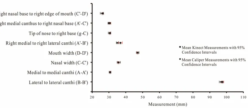 Figure 3. Measurements of anatomical features on the Styrofoam Model.  