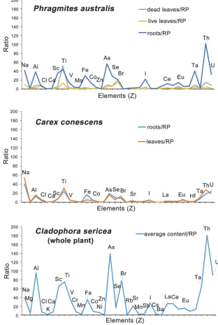 Figure 4. Studied plant/Reference plant ratios for different parts of Phragmites australis, Carex conescens and Cladophora sericea