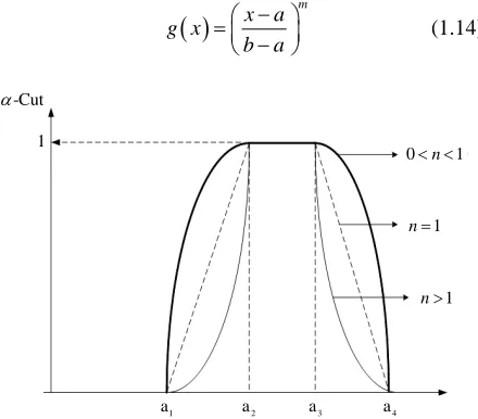 Figure 1. Nonlinear membership function. 