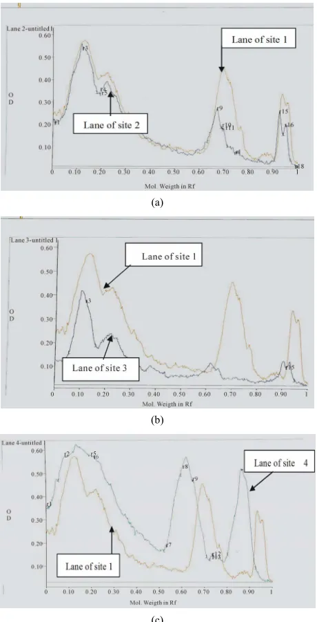 Figure 2. (a) A comparison between Pro analysis of elec- tropherograph of protein patterns in serum of catfish from of electropherograph of protein patterns in serum of catfish from Sites 4 and 1(control)