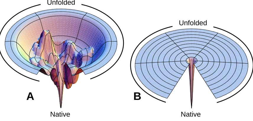 Figure 1.2 Protein folding landscapes. (A) Free energy landscape with multiple folding pathways  