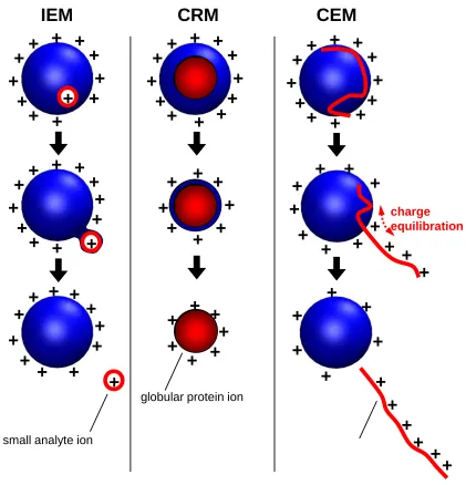 Figure 1.3 Summary of ESI mechanisms. IEM: Small ion ejection from a charged droplet. CRM:  
