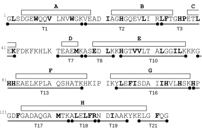 Figure 2.4 Amino acid sequence of myoglobin (pdb code: 1WLA). α-helices A-H are denoted by ‎