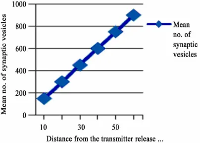 Figure 2. The correlation of synaptic vesicles within the ac- tive zone (Transmitter release site) in adults