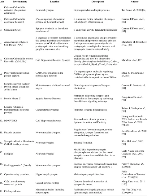 Table 1. Proteins found in different synapses and their functions. 