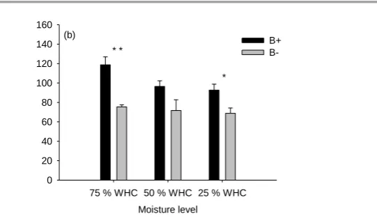 Figure 4: Total B content (µg) in 6 weeks-old B treated Vigna radiata L. plants (black bars) and in untreated control (white bars) one hour after foliar B application (a) and one week after foliar B application (b) as boric acid solution (100 mM)