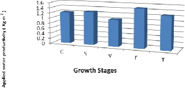 Fig 3:  Applied water productivity during different growth stages